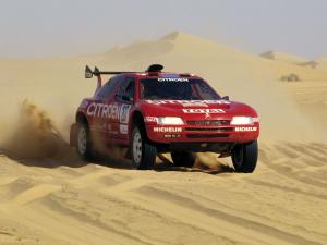 Citroen ZX Rally Raid '1993